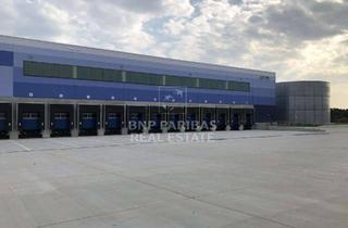 Gewerbeimmobilie mieten in 29646 Bispingen, Im Auftrag - ca. 10.800 m² Logistikfläche an der A7