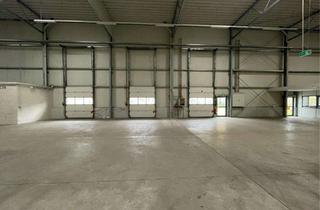 Gewerbeimmobilie mieten in 30855 Langenhagen, Hochwertige Lagerhalle mit Showroom