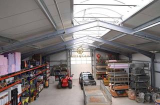 Gewerbeimmobilie kaufen in 29664 Walsrode, Neue Gewerbehalle an Top-Standort!