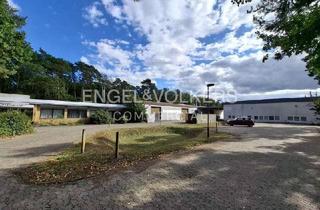 Gewerbeimmobilie kaufen in 29227 Celle, Lager-/Produktions- und Büroflächen in Celle