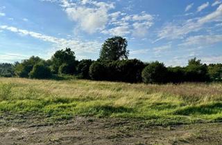 Grundstück zu kaufen in Heiligenhäger Straße 29b, 18239 Satow, Zweite Reihe mit viel Grün