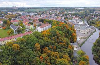 Grundstück zu kaufen in 09322 Penig, 1,6 ha großer Wald mit einem Flurstück im Mischgebiet - zentrale Lage im Stadtgebiet