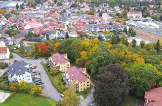 Grundstück zu kaufen in 09322 Penig, - Nachauktion - 1,6 ha großer Wald mit einem Flurstück im Mischgebiet