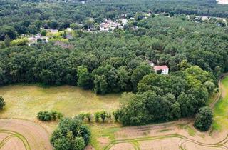 Grundstück zu kaufen in 15806 Zossen, 4 Waldgrundstücke in Zossen-Dabendorf