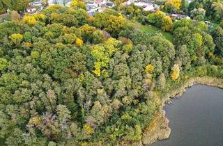 Grundstück zu kaufen in 15859 Storkow, Große Waldfläche mit Direktzugang zum Großen Schauener See