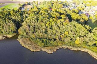 Grundstück zu kaufen in 15859 Storkow, Auktion - Großes Waldgrundstück am Großen Schauener See