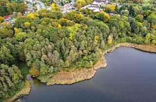Grundstück zu kaufen in 15859 Storkow, Auktion - Baugrundstück mit Waldbestand am Großen Schauener See