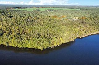 Grundstück zu kaufen in 15754 Heidesee, 3,2 ha Forstliegenschaft