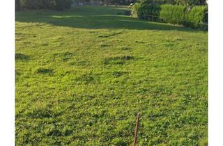 Grundstück zu kaufen in 08451 Crimmitschau, Schönes Baugrundstück in 08451 Großpillingsdorf