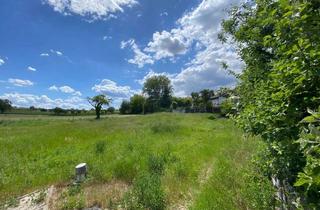 Grundstück zu kaufen in Langstr. 52a, 79331 Teningen, Am Ortsrand von Nimburg in reiner sonniger ruhiger Südlage gelegen...