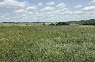 Grundstück zu kaufen in 84174 Eching, Baugrundstück für ein EFH oder DH in ruhiger Lage zu verkaufen