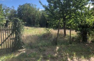 Grundstück zu kaufen in 55411 Bingen, Idyllisches Baugrundstück in Feldrandlage (Übergang zu Naturschutzgebiet)