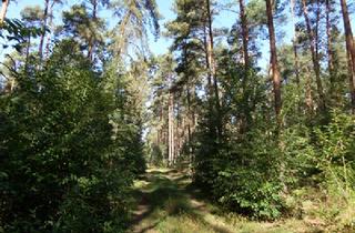 Grundstück zu kaufen in 14715 Seeblick, +++Landwirtschaftliche Flächen (Ackerland, Grünland, Wald) in und um 14715 Seeblick zu verkaufen+++