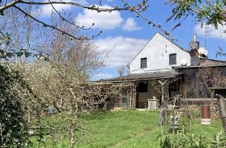 Grundstück zu kaufen in 41516 Grevenbroich, Idyllisches Baugrundstück