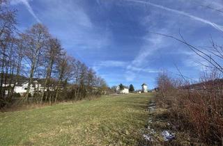 Gewerbeimmobilie kaufen in 59846 Sundern, / Ruhige Gewerbefläche im Mischgebiet in Sundern Entfalten Sie Ihr Potenzial!