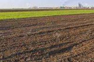 Gewerbeimmobilie kaufen in 29439 Lüchow, Ackerfläche bei Lüchow zu verkaufen