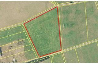 Gewerbeimmobilie kaufen in In Der Strut, 35649 Bischoffen, Grünlandfläche in Niederweidbach