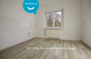 Wohnung mieten in 09112 Chemnitz, 1-Raum Apartment • Laminat • Tageslichtbad mit Dusche • Stellplatz • Kaßberg • Anschauen & Mieten