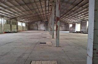 Anlageobjekt in 99625 Kölleda, Gewerbegrundstück mit über 6.000 qm Hallenfläche zu verkaufen