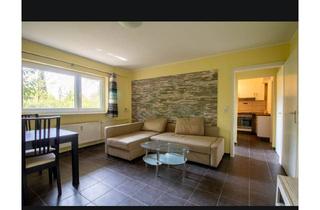 Wohnung mieten in 76767 Hagenbach, Möblierte 2-Zimmer-Souterrainwohnung in Hagenbach – renoviert - naturnah am Altrhein