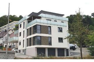 Penthouse mieten in Kappel, 72172 Sulz, Blick über Sulz, barrierefreie exkl. 4 1/2-Zimmer-Penthouse Wohnung