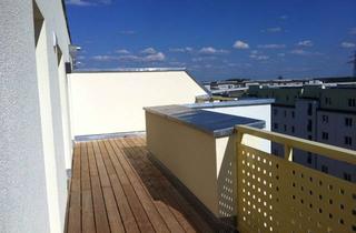 Penthouse mieten in Gensinger Straße 19-25, 10315 Friedrichsfelde, Große sonnendurchflutete 2-Zimmer-Wohnung mit Dachterrasse