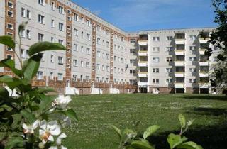 Wohnung mieten in Heinrich-V.-Stephan-Str. 24, 18435 Stralsund, 1-Raumwohnung zu vermieten!