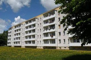 Wohnung mieten in Hermann-Burmeister-Str. 33, 18435 Knieper West, 1-Raumwohnung im Erdgeschoss zu vermieten!