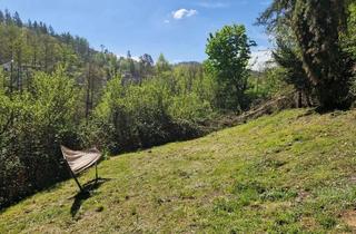 Einfamilienhaus kaufen in 61276 Weilrod, ++++EINFAMILIENHAUSHAUS MIT GROSSEM GARTEN UND SEPARATEM APARTMENT++++