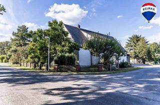 Einfamilienhaus kaufen in 32339 Espelkamp, Großzügiges Einfamilienhaus mit Wintergarten, Sauna und großem Grundstück in Espelkamp