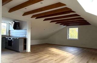 Haus mieten in 74177 Bad Friedrichshall, Für Pendler: Erstbezug moderne 2-Zimmer-DG-Wohnung in Bad Friedrichshall, Nähe Schwarz Campus & Audi