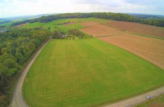 Gewerbeimmobilie kaufen in 63695 Glauburg, 67.000 m² Landwirtschaftsfläche Gemarkung Glauberg