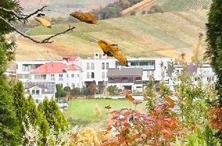 Grundstück zu kaufen in 74189 Weinsberg, Betongold - Grundstück in Weinsberg