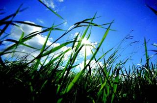 Grundstück zu kaufen in Isarauen, 80939 München, AIGNER - Baupartner für DHH gesucht: Top Grundstück für Familiennest an den Isarauen