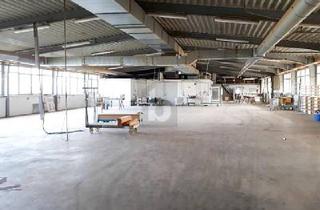 Gewerbeimmobilie kaufen in 48599 Gronau, UNTERNEHMER-PROJEKT, NAHE DER NL GRENZE