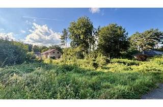 Grundstück zu kaufen in 21354 Bleckede, WOHNEN, WO RUHE UND NATUR SICH TREFFEN