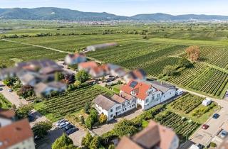 Einfamilienhaus kaufen in 67489 Kirrweiler, Ehemaliges Weingut – Wohnhaus, Gästezimmer und großzügige Hallenflächen
