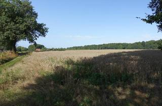 Immobilie kaufen in 27254 Staffhorst, Landwirtschaftliche Nutzflächen zur Gesamtgröße von 10,1537 ha in Staffhorst-Harbergen