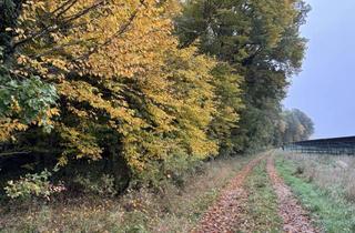 Immobilie kaufen in 91747 Westheim, Mischwald mit sehr guter Zufahrt