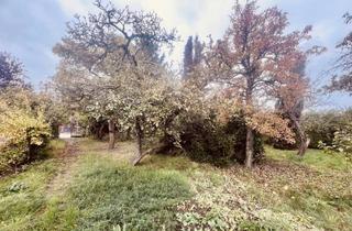 Immobilie kaufen in 15745 Wildau, Ideal für individuelle Wohnträume in Wildau