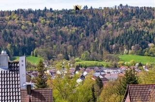 Wohnung kaufen in 73655 Plüderhausen, Plüderhausen - Preisanpassung: Große Wohnung mit 4 Zi. im 1. OG & 1,5 Zi. im DG mit sonnigem & großen Gartenanteil!