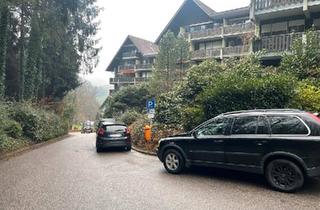 Wohnung kaufen in 77887 Sasbachwalden, Sasbachwalden - Schöne 2-Zimmer-Wohnung