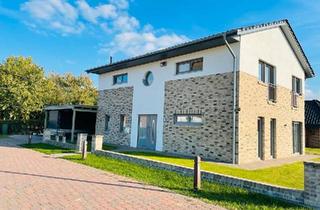 Haus kaufen in 27337 Blender, Blender - Energieeffizientes & modernes EFH Blender