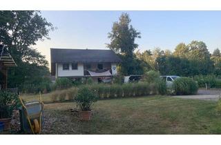 Einfamilienhaus kaufen in 38458 Velpke, Velpke - Haus in Velpke: 8 Zimmer, 5.130 m² Grundstück, Pool, Kamin