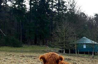 Haus kaufen in 35083 Wetter, Wetter (Hessen) - Riesen Jurte 9m Europäische Jurte 4,5m hoch Rundes Haus