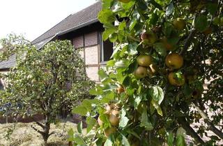 Haus kaufen in 37170 Uslar, Uslar - Eigener Brunnen, eigenes Obst und krisensichere Wärme!!