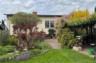 Einfamilienhaus kaufen in 06901 Kemberg, Kemberg - Gepflegte Doppelhaushälfe mit Gartenidylle