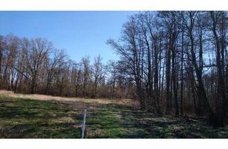 Haus kaufen in 18528 Bergen, Bergen auf Rügen - Großzügiges Grundstück auf Rügen zu verkaufen