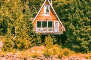 Haus kaufen in 49377 Vechta, Vechta - Die Nadel im Heuhaufen...