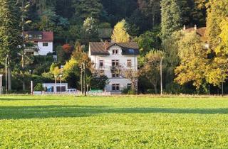 Haus kaufen in Schauinslandstraße 18, 79100 Freiburg, Freiburg im Breisgau - Gründerzeit 4-FamHs + Fabrik-Loft + ideal f. Käufer-Gruppe + 405qm WNF + 528qm GS + Gartenhs + Paradiesgarten + teilbar in Teileigentum